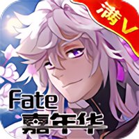 fate嘉年华bt版