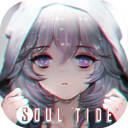 灵魂潮汐无敌版